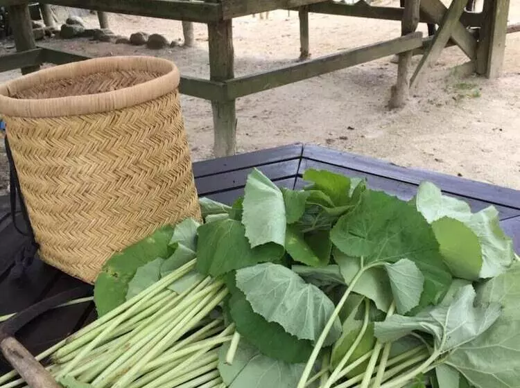 ホテル Dosanko Mira Farm