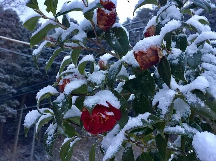 בית מלון כפרי Dosanko Mira Farm