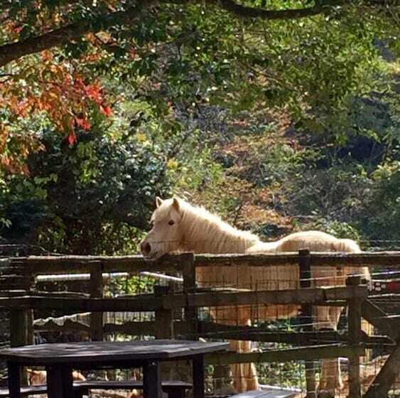 בית מלון כפרי Dosanko Mira Farm