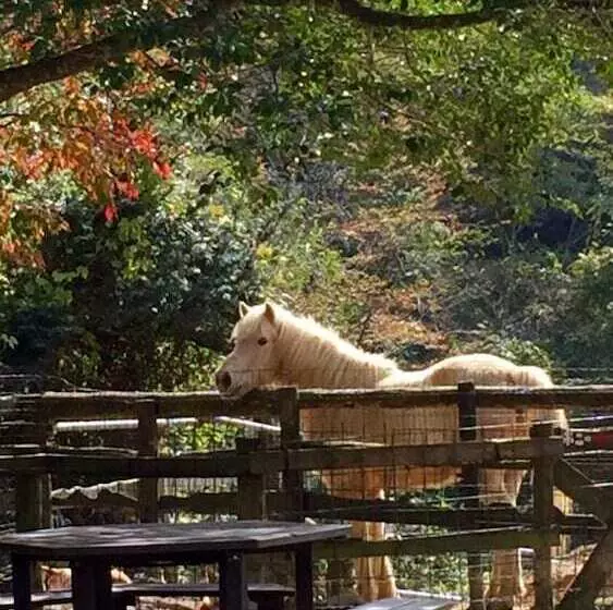ホテル Dosanko Mira Farm