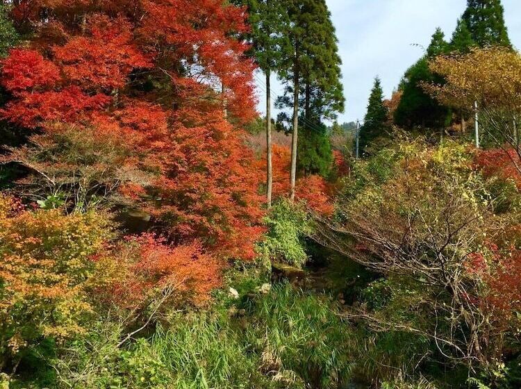 בית מלון כפרי Dosanko Mira Farm