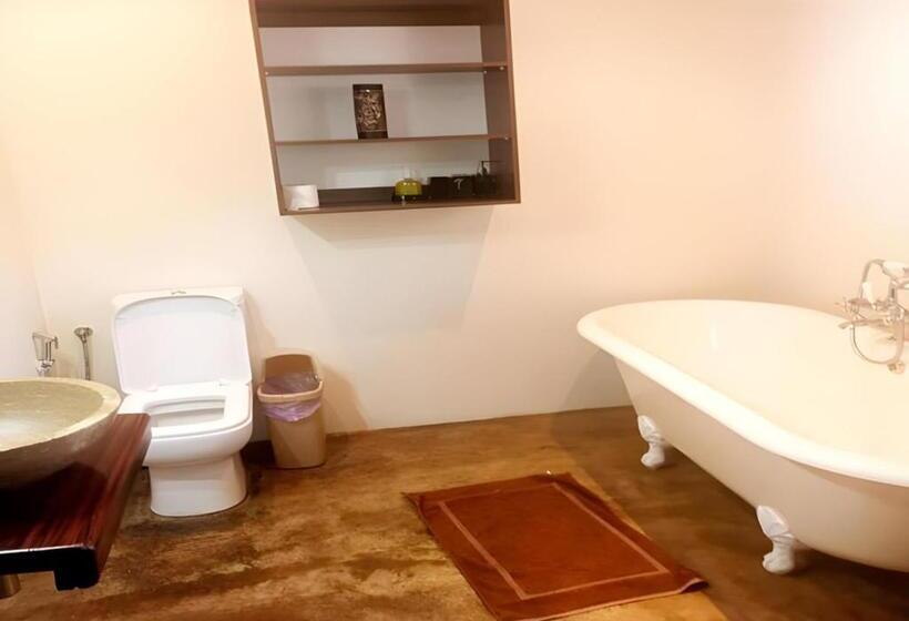 פנסיון Kzn Park View Guest House