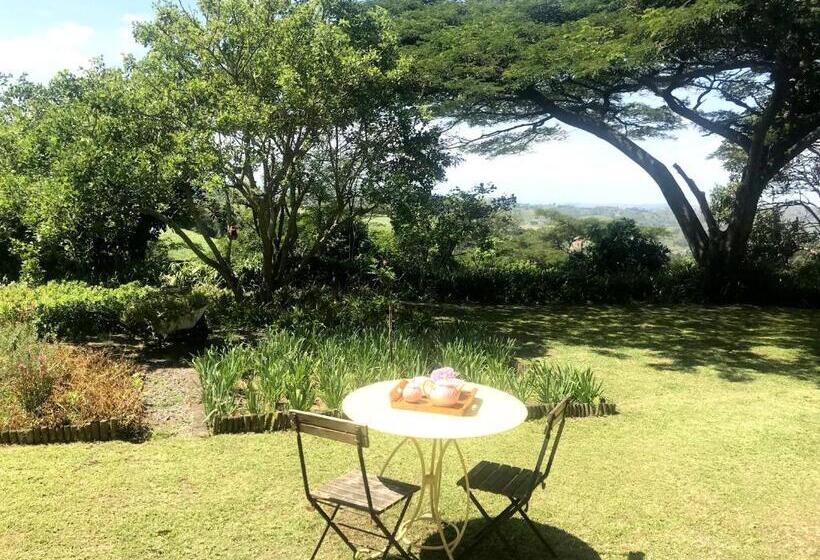 بنسيون A Kings View