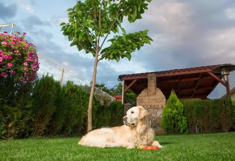 پانسیون Casa Ana