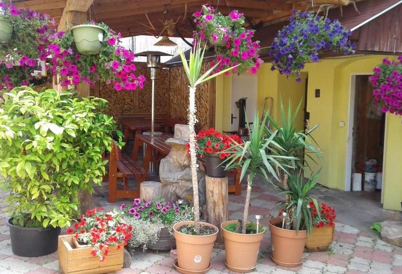 Majatalo Penzion Many Peny