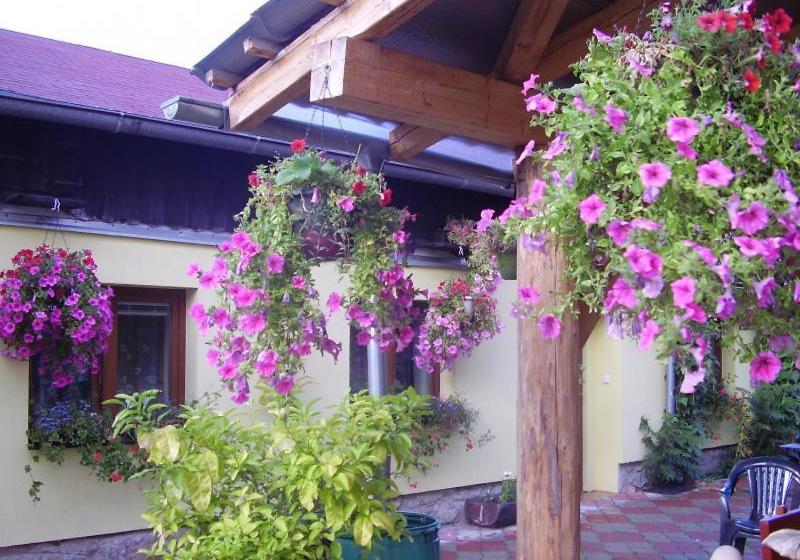 Majatalo Penzion Many Peny