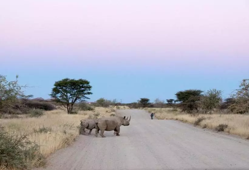 Pension Camp Mara