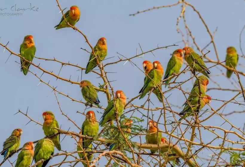 Pension Camp Mara