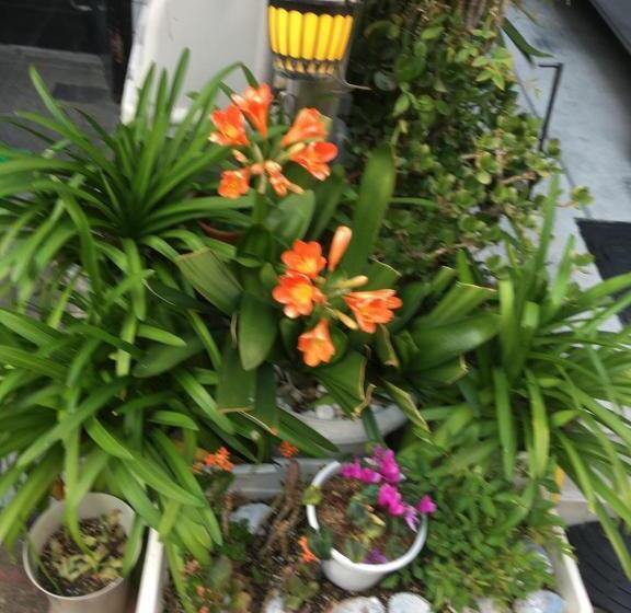 Пансион Hanmadang