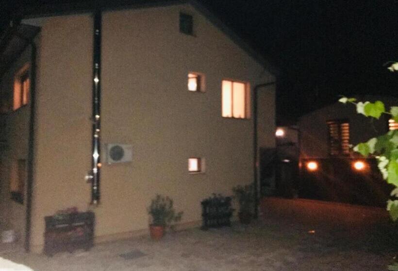 پانسیون House Leyla