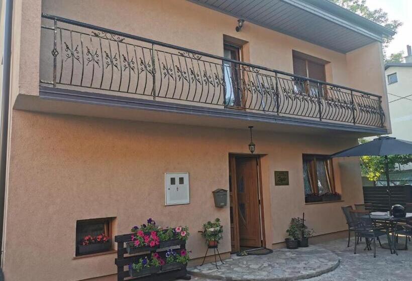 پانسیون House Leyla