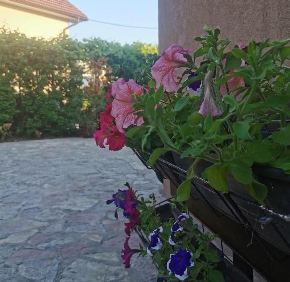 پانسیون House Leyla