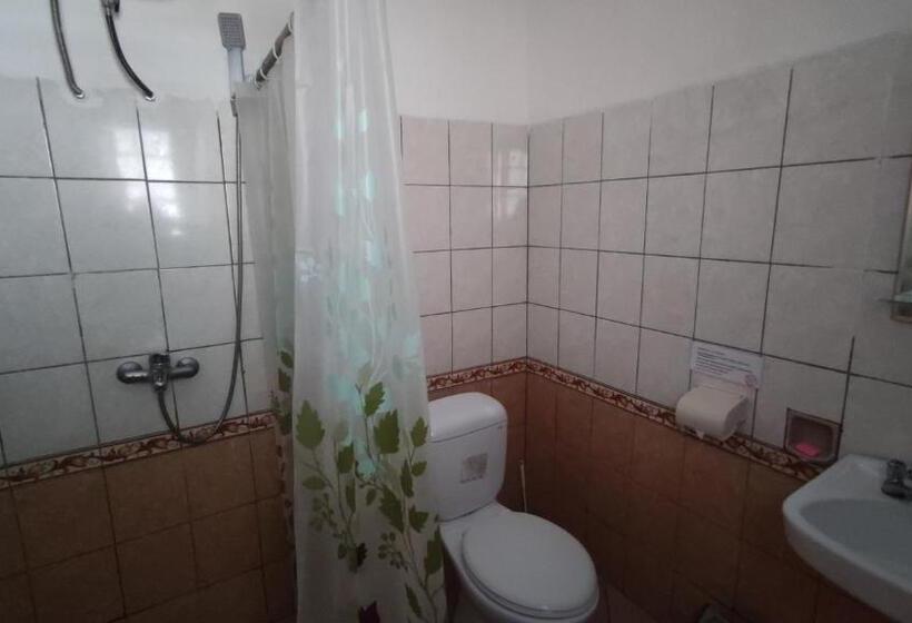 פנסיון Mjr Ticketing Guest House