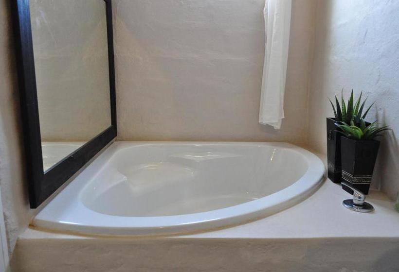 膳宿费 The Calitz