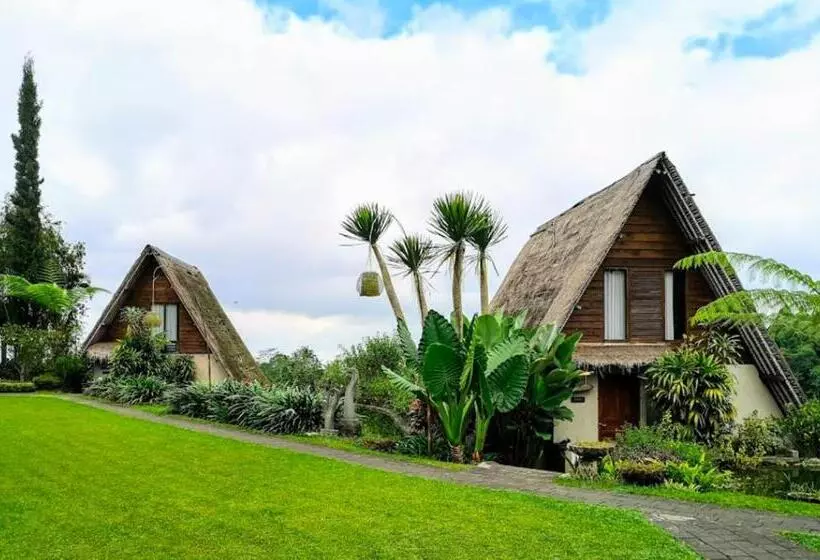 Majatalo Village Above The Clouds
