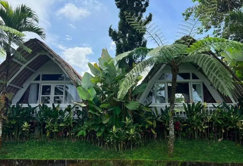 Majatalo Village Above The Clouds