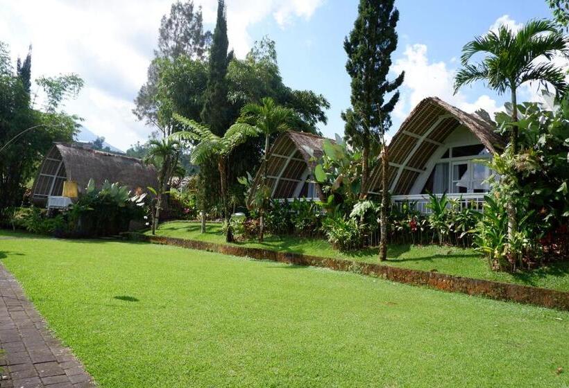 بنسيون Village Above The Clouds