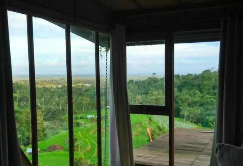 Majatalo Village Above The Clouds