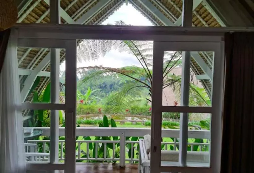 Majatalo Village Above The Clouds