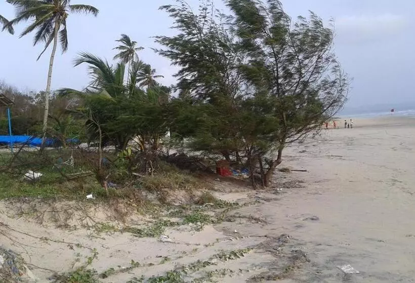 Majatalo Lobo S Guesthouse