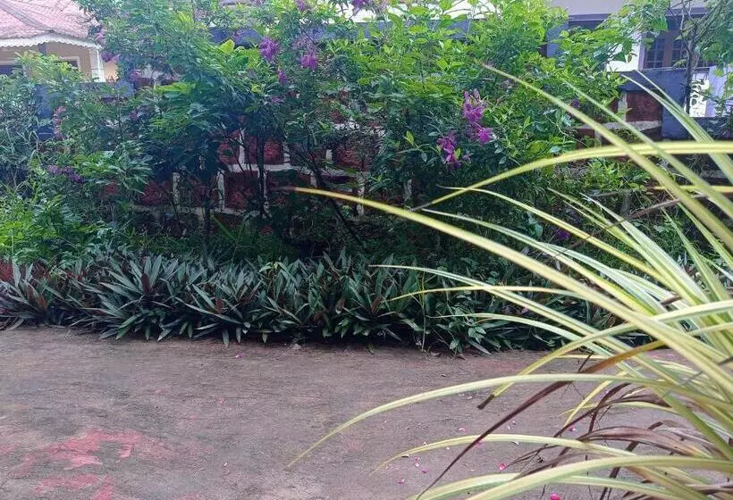 Majatalo Lobo S Guesthouse