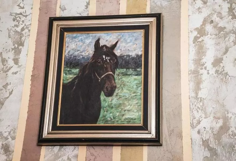 پانسیون Guest House Malkia Inter