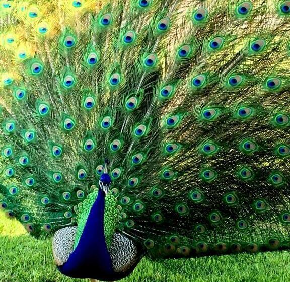 بنسيون Pousada Haras Santa Rita