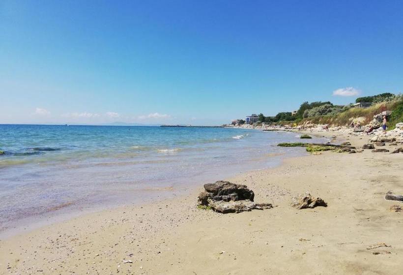 پانسیون Siana House