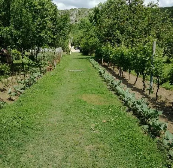 پانسیون Riverside Guesthouse