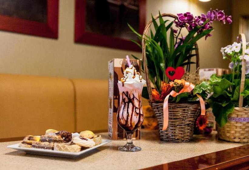 بنسيون Villa Brussels