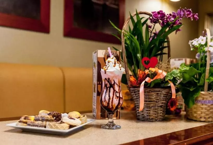 Pensió Villa Brussels