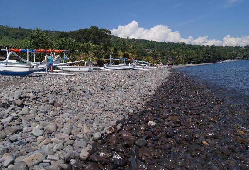 Пансион Villa Mangga Beach