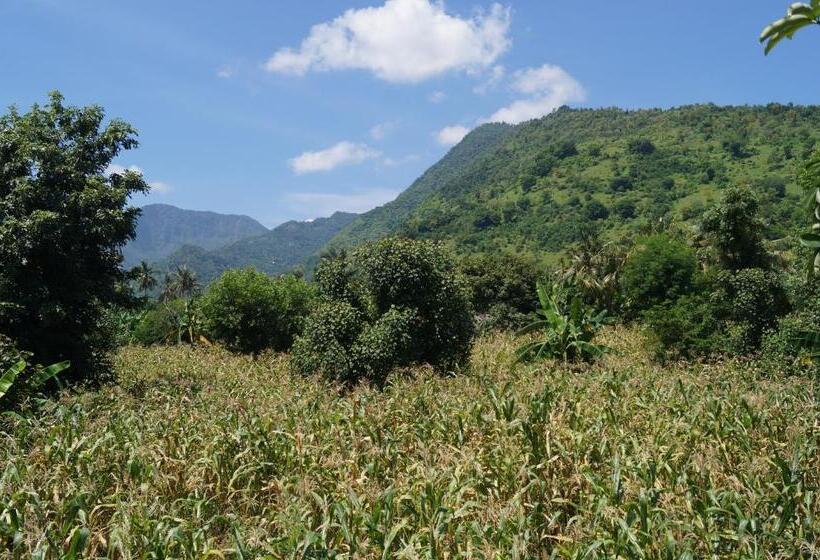 Пансион Villa Mangga Beach