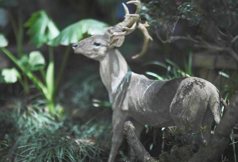بنسيون Wuyi Mountain Ancient Street Forest Living England Time Inn