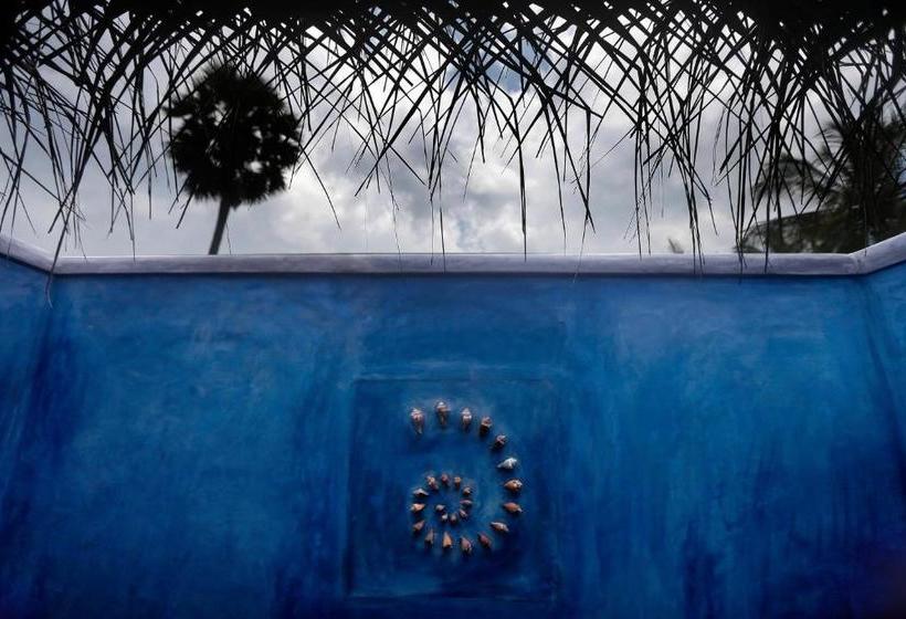 渡假胜地 The Villa Kalpitiya