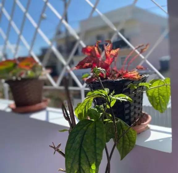 Majatalo Bouganville Guest House Bc