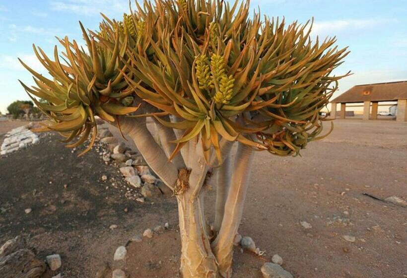 膳宿费 Grunau Chalets