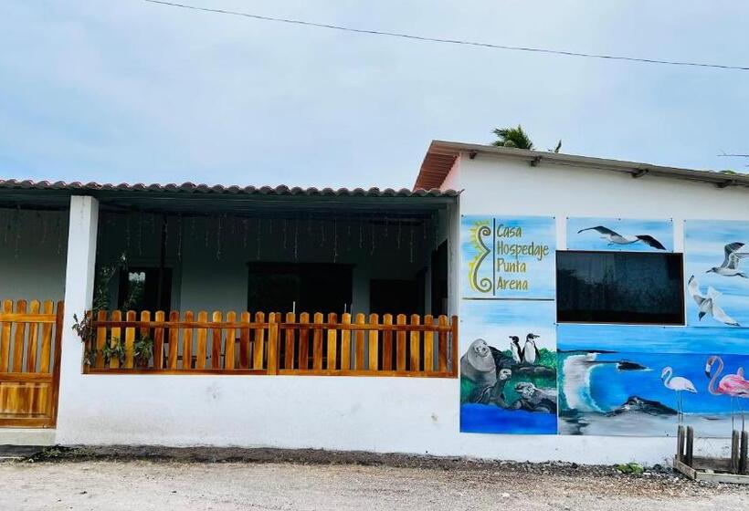 פנסיון Hostal Punta Arena