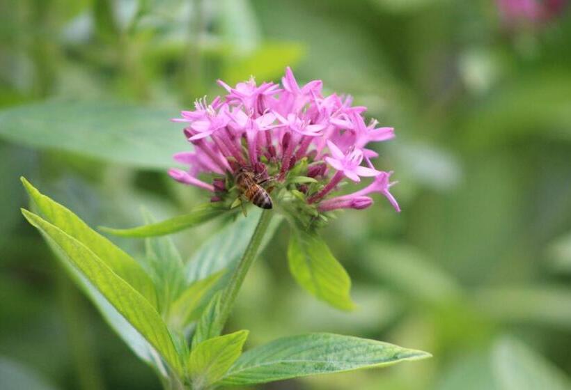 The Meridian At Lighthouse Point