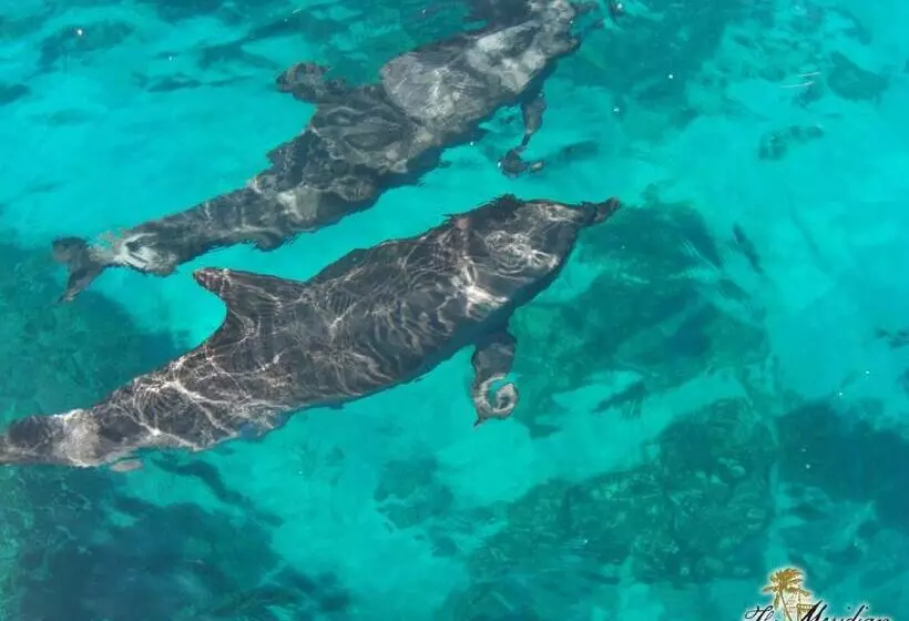 The Meridian At Lighthouse Point