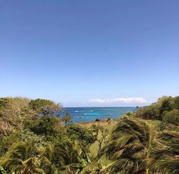 The Meridian At Lighthouse Point