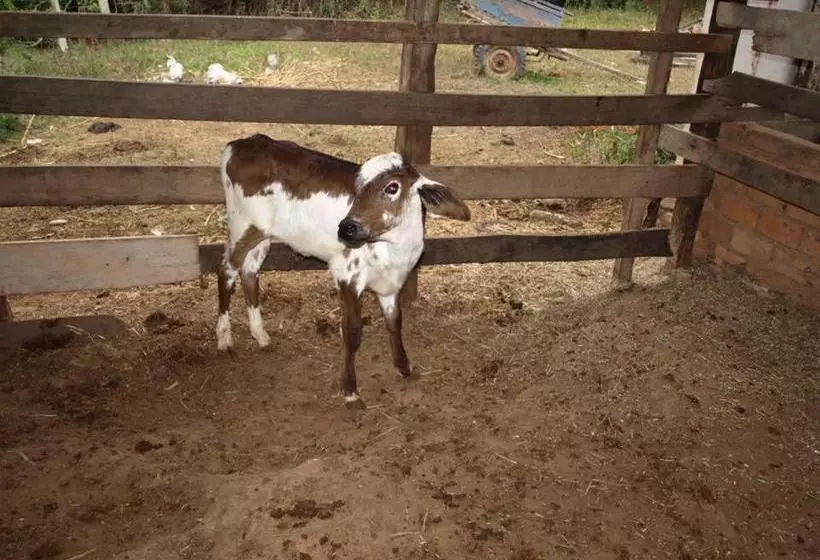 ユースホステル Fazenda Do Ingá