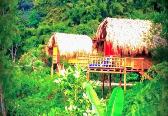 هتل Miradores Del Oso Perezoso