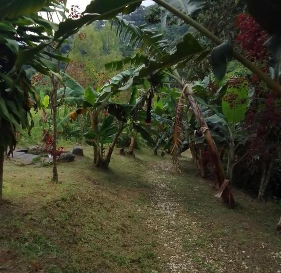 هتل Miradores Del Oso Perezoso