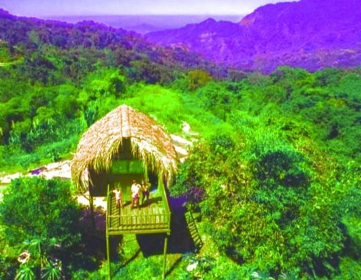 هتل Miradores Del Oso Perezoso