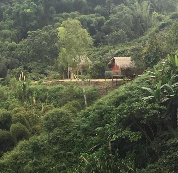 هتل Miradores Del Oso Perezoso