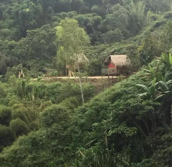 ホテル Miradores Del Oso Perezoso