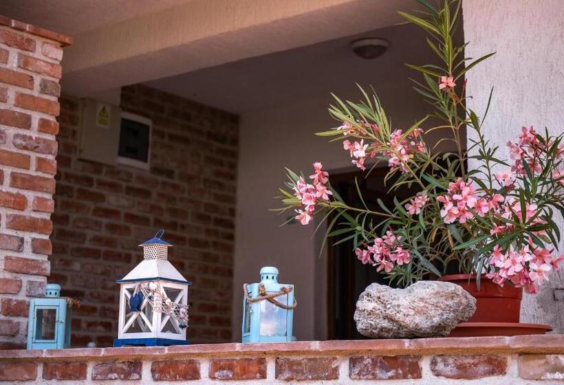 بنسيون Artelier Vama Veche