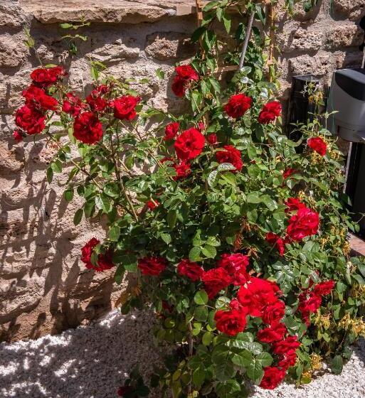 بنسيون Artelier Vama Veche