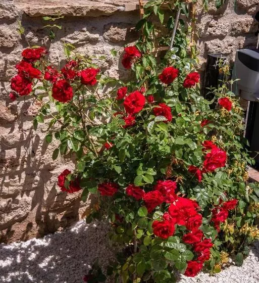 Majatalo Artelier Vama Veche